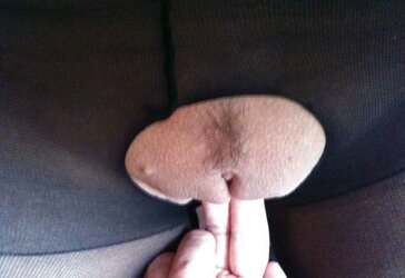 Ripped pantyhose to reveal my vag