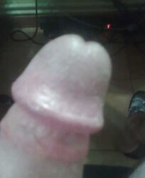 Polla en agosto