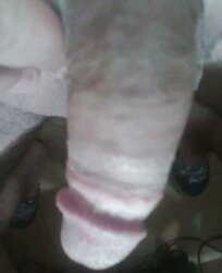 Polla en agosto