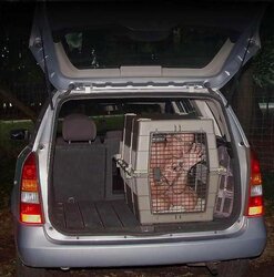 Petgirl transport