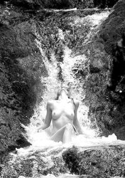 Naked Gallery