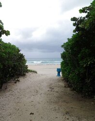 Haulover Naturist Beach