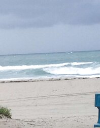 Haulover Naturist Beach