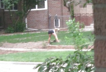 Neighbors displaying off, doing yardwork in skirts (original)