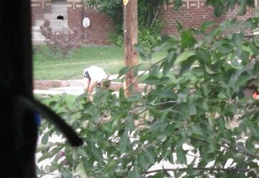 Neighbors displaying off, doing yardwork in skirts (original)