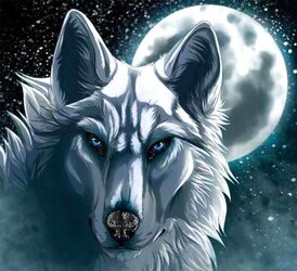 Fantastic and Wicked. )o(