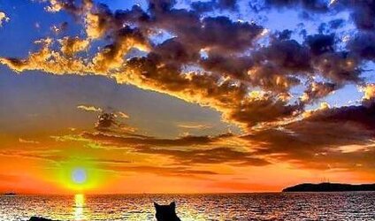 Fantastic and Wicked. )o(