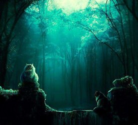 Fantastic and Wicked. )o(