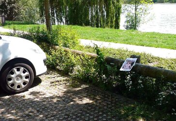Exposition de salopes
