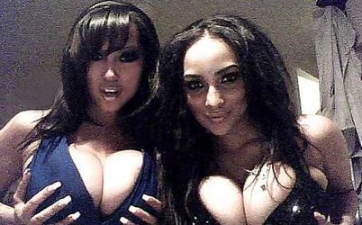 Succulent Inexperienced Bra-Stuffers