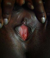 EBONY VAGINA HEAVEN 35 READERS WIVES FLAVA