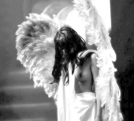Fleshy mcnulty angels (AMYKISS-BEVY)