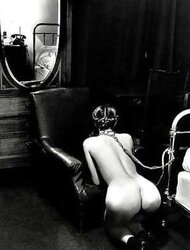 Dark-Hued and White 261!