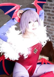 Various Stockings and Pantyhose Cosplay Vol 12.