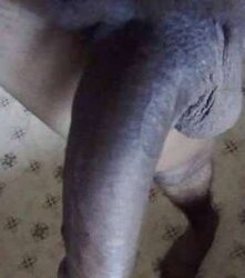 Hey its me....