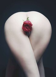 Art, or classier jerking material?