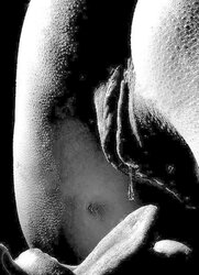 Art, or classier jerking material?