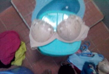 My luxurious neighbour Chick