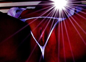 Undies five: Open Pubes, Split-Pubes, or Crotchless