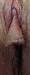 Misc images of my Domme