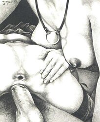 DOUBLE PENETRATION Drawings