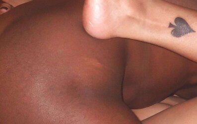Hotel Apartment Group Penetrate Drill with Dark-Hued Bulls