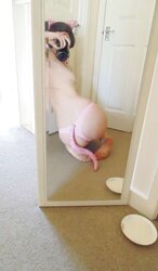 Kitten playing with cord
