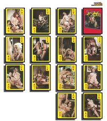 Play cards.