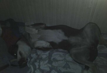 My baby patches