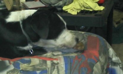 My baby patches