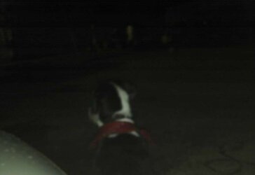 My baby patches