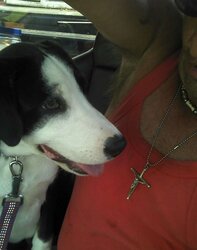 My baby patches