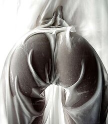 Cul Culo bootie donk