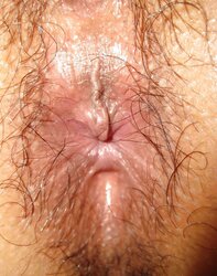 UNSHAVED MEGA-SLUT