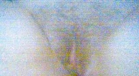 Wild Teenager gargle and display