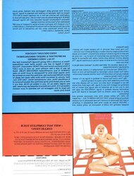 Vintage Magazines Playbirds HARDCORE Quarterly Issue