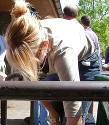 Some Damsels Downblouse pics