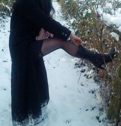 A walk in snow 2010 -1 Gallery