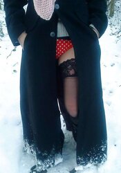 A walk in snow 2010 -1 Gallery