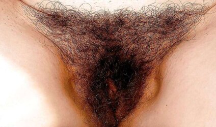 FIGA PELOSA AMATORIALE four FUR COVERED PUSS INEXPERIENCED