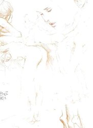 Erotic Book Illustration 24 - Janice Unveiled