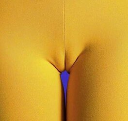 Celebs Camel Toe