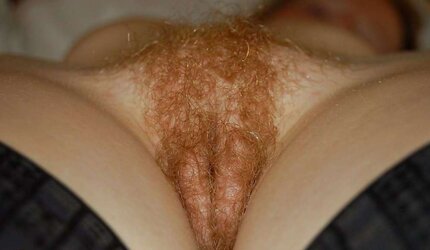 Ginger Old and youthfull