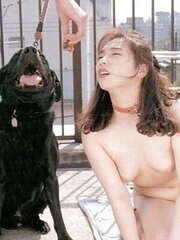Feed the petgirl
