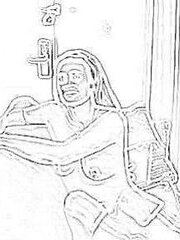 Pencil pictures