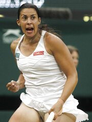 Marion Bartoli (wooly upskirt)