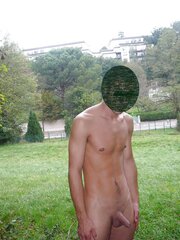 Exhib parc foret nu