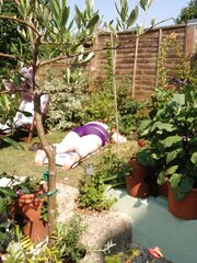 Wifey Sun Bathing