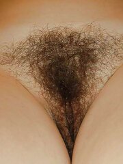 Fur Covered Blend