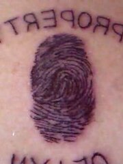D/s tats II